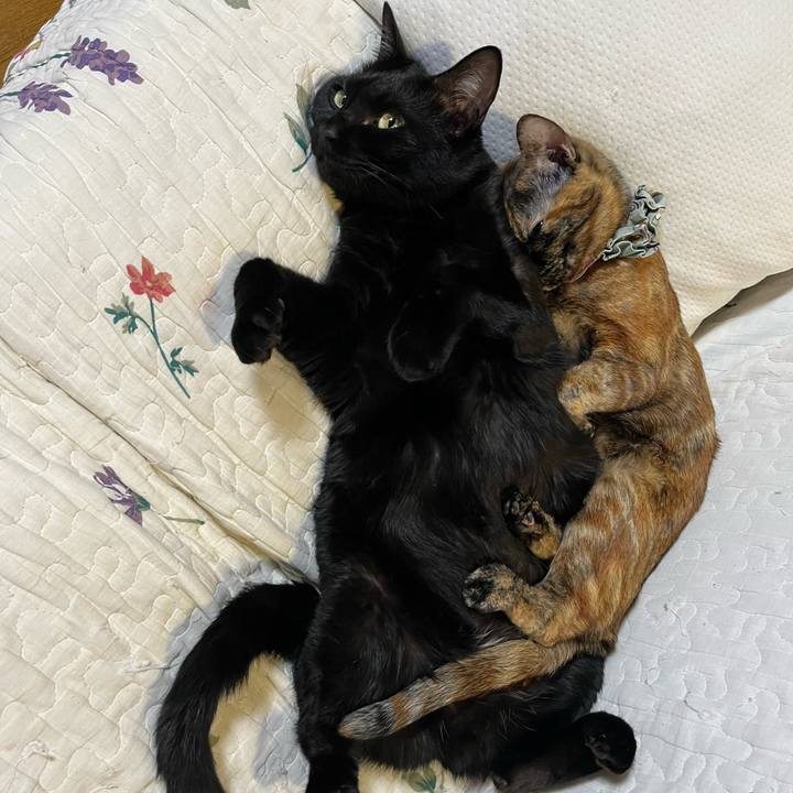 1d8e7dd7 e352 4daa bd22 ff7c86934cc9 1668323491207