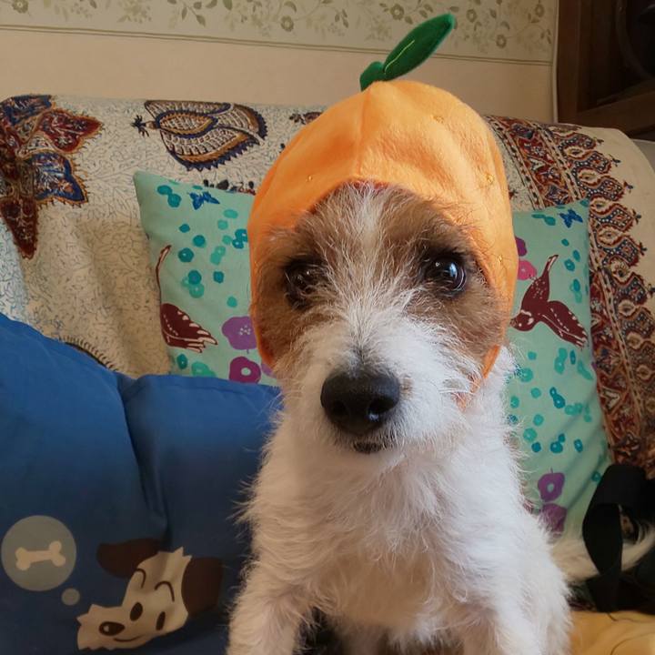 1d8e84d7 72d3 4111 9418 f2b09e8f3f92 1576220065010