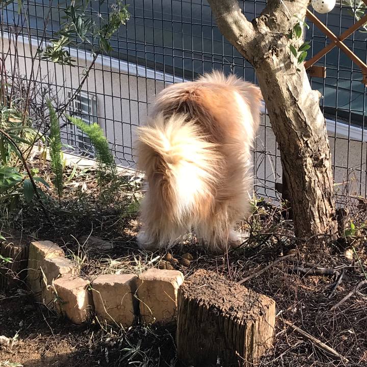 1d8e9a3e cf67 46d5 8588 9c860a97e51c 1550728063478