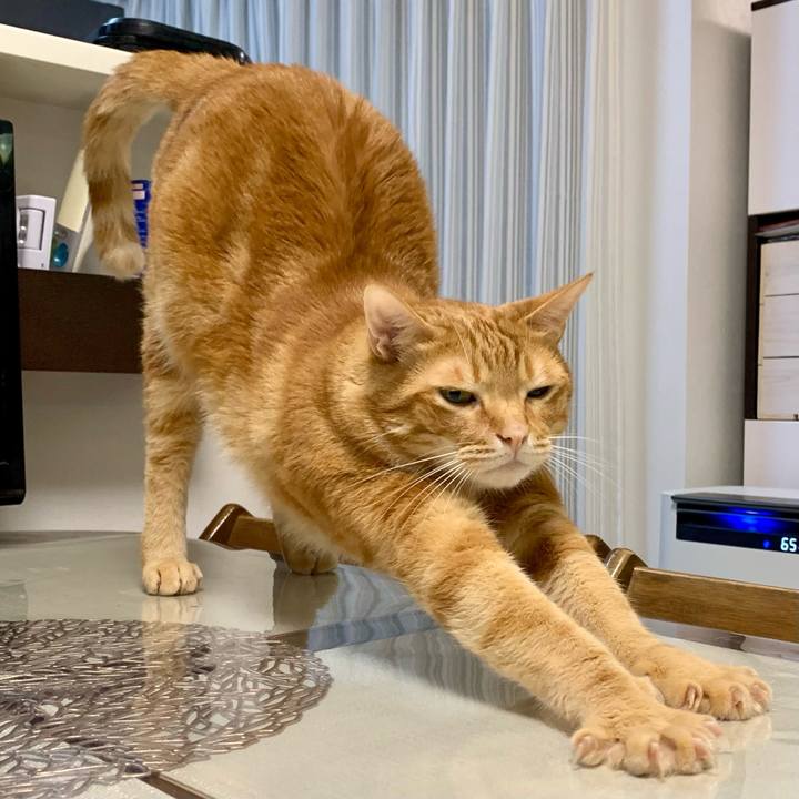 1d8ea86e c5bc 44ba 8067 da92cc994f65 1624311536927