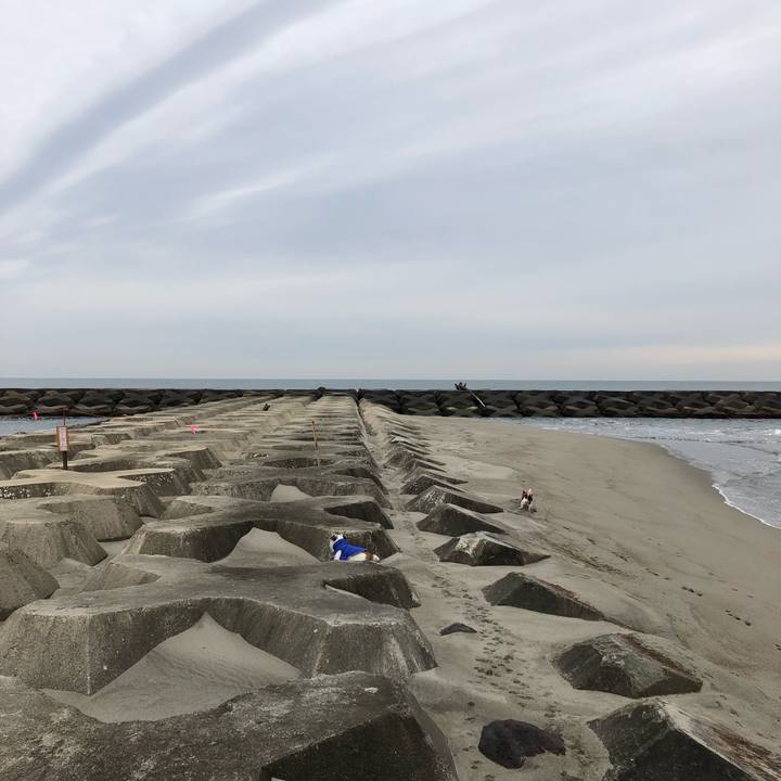 1d8eac32 9ed2 4902 80e0 d59140042f50 1550531022631