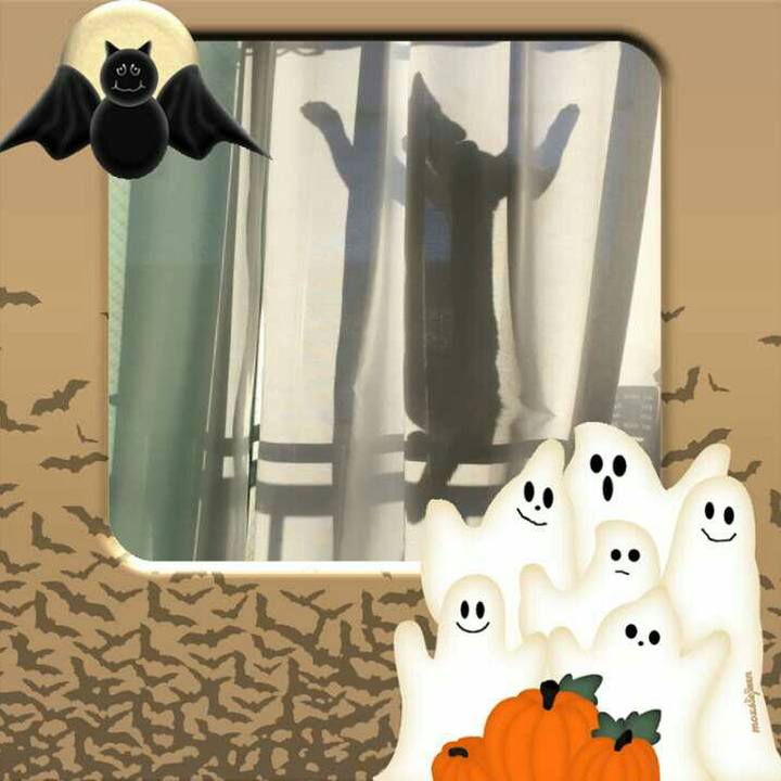 1d8eb324 ec18 480a 9a12 9c8e4b323b6c 1509438250358