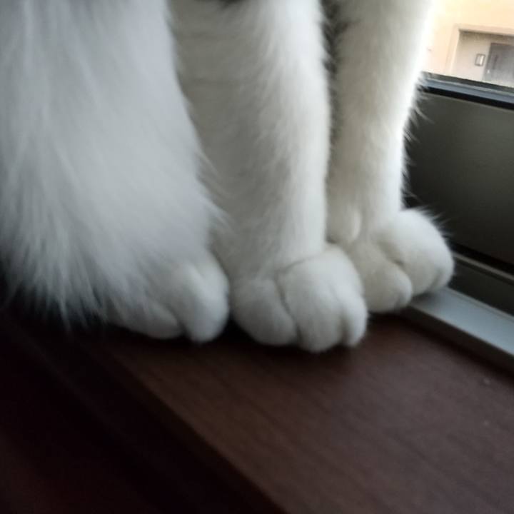 1d8ec6f2 daaa 4970 ab5c 09822a8ba360 1612912474770