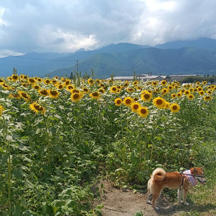 1d8ed15c cba3 4382 8f8a 73fe2f3ec06e 1755318657853