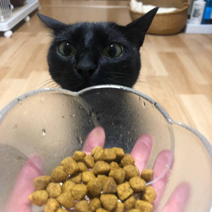 1d8eeecb 7874 4dd5 9304 a181bdc1c02d 1587122153392