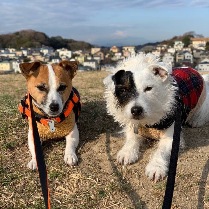 1d8f2f13 f06b 4880 9f5b 02267ad4afd9 1548290164507