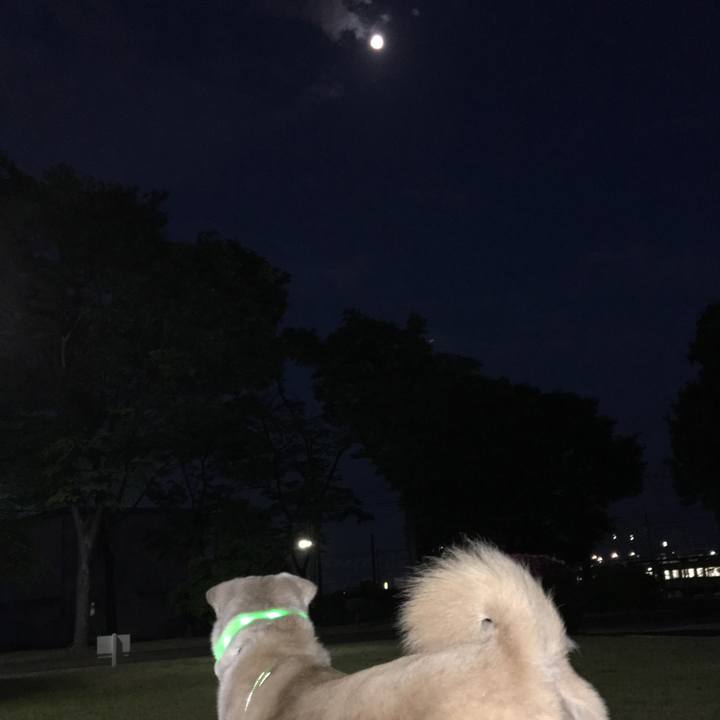 1d8f2f58 cb8a 43b1 8476 0c323864d7e0 1524826484302