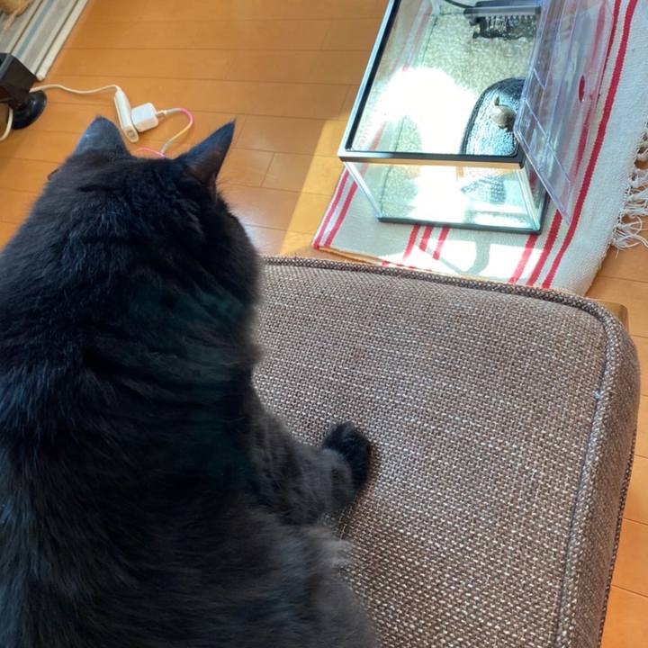 1d8f4b30 6013 4853 b89c df57cb0bddd7 1632020584831