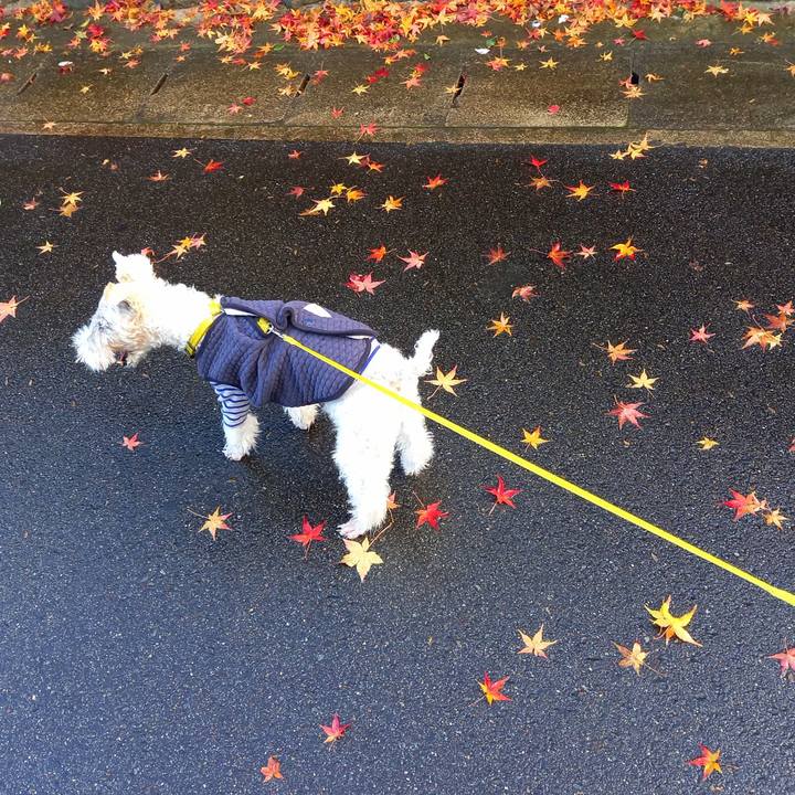 1d8f535c c8b8 4ff5 b82e a0d52bbb96c0 1637997507768