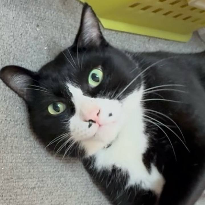 1d8f8399 23a1 4865 872d 33bc1169c98f 1760409235447