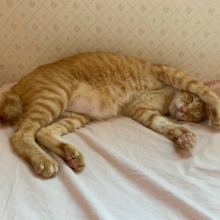 1d8fa151 4452 4c3b b592 14235c6364b6 1565597281960