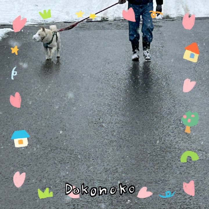 1d8fa97b 6874 40c9 b36f 3f89a5568d50 1741425457267