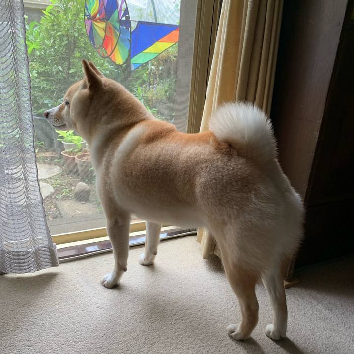 1d8fb820 e993 4e8c b856 6ae37c1e7ff8 1623629192159