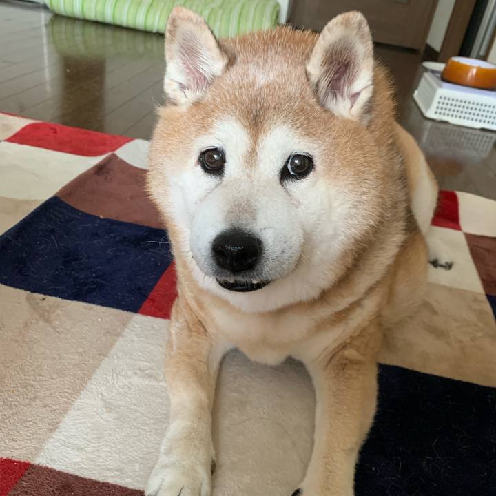 1d8fe52c e25d 4aac 85bc 148436bfe211 1631422903309