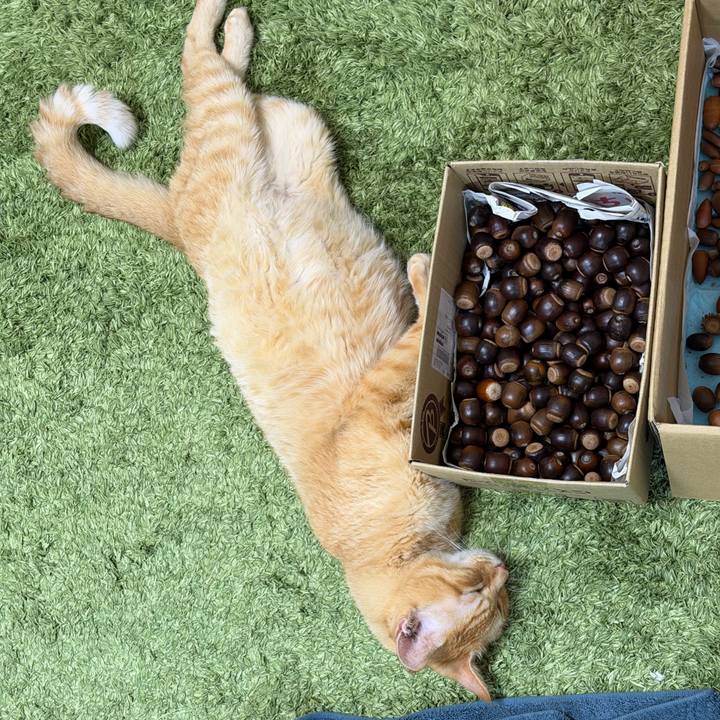 1d8fef03 e3e3 4a29 a972 5522805b8d16 1761139133706