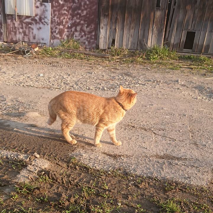 1d8ff0cd 0555 47dd bdff f25e17256ab7 1649711360754