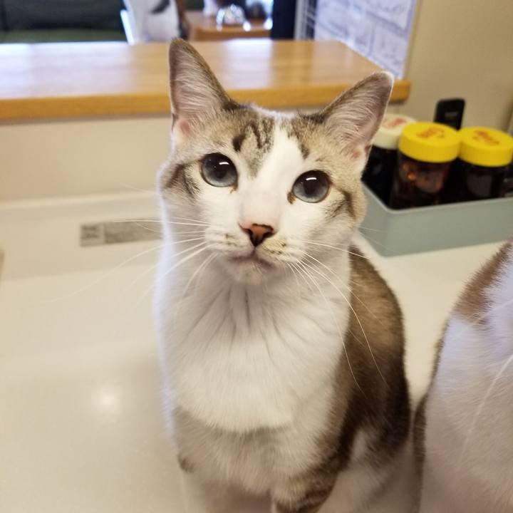 1d9027df 06ea 40ad bc0c 5c79d08b1d1d 1591066368960