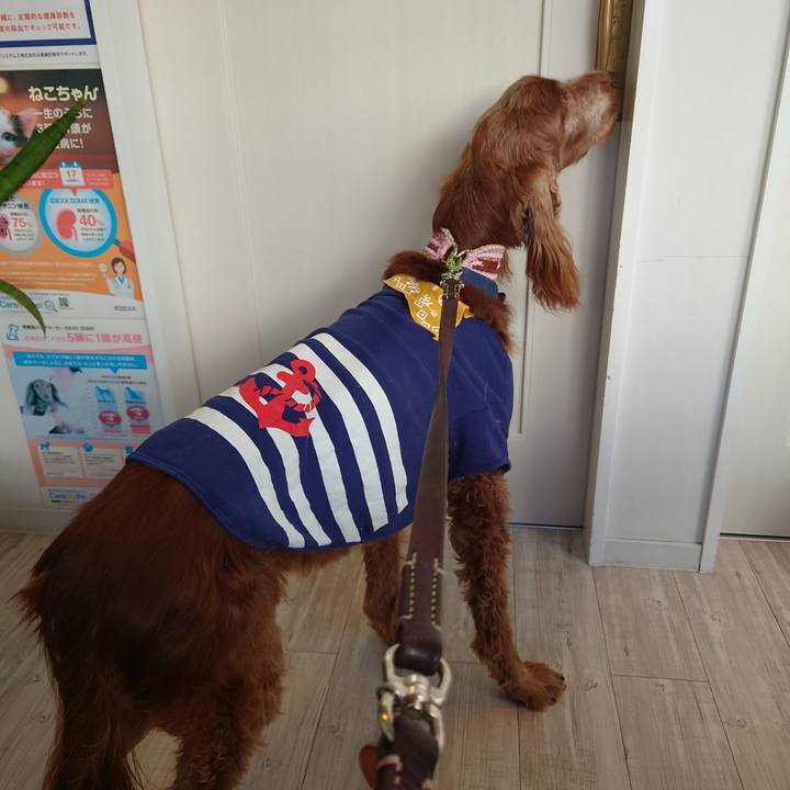 1d9027ed e139 4f5c bd13 9f0395fc84ac 1705233180155