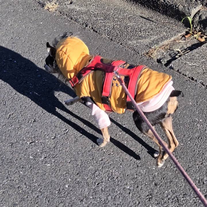 1d90617b 81c7 469e 9bb8 49d470681375 1762214076111