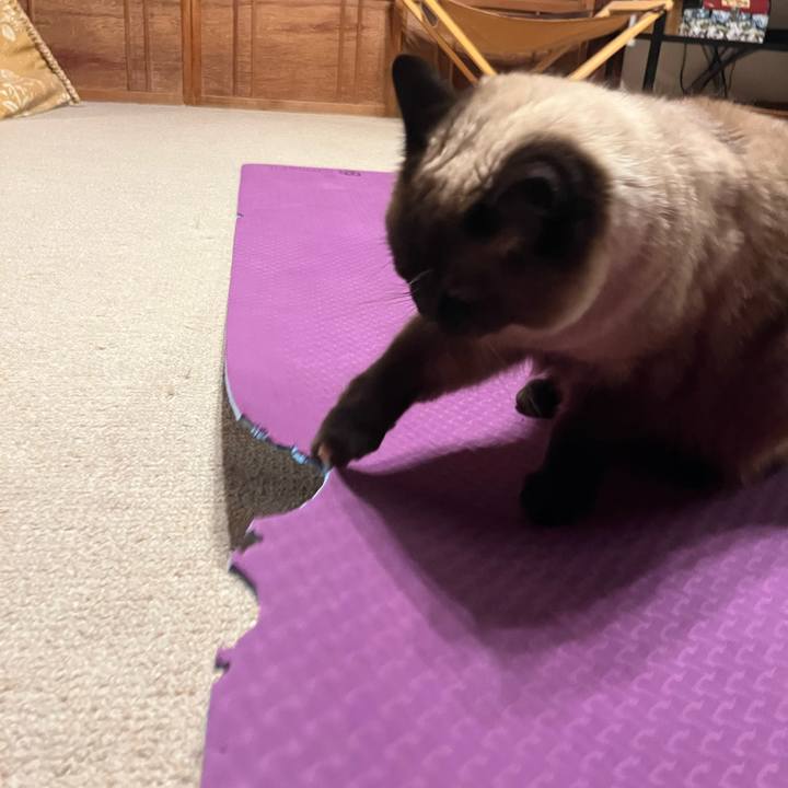 1d90a524 9ff2 418c b408 1c3b984d84fd 1720090526122