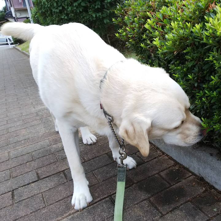 1d912075 ca1d 498c b23d 2f61ceb26fd9 1529657422683