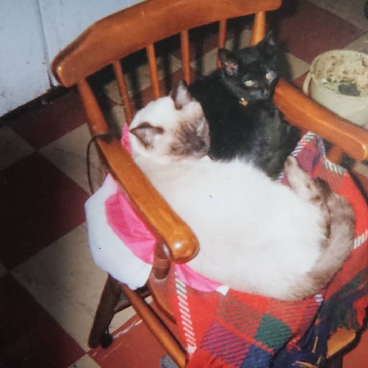 1d9127cb db77 4db6 917f dd5bc3c8ef17 1660380935442