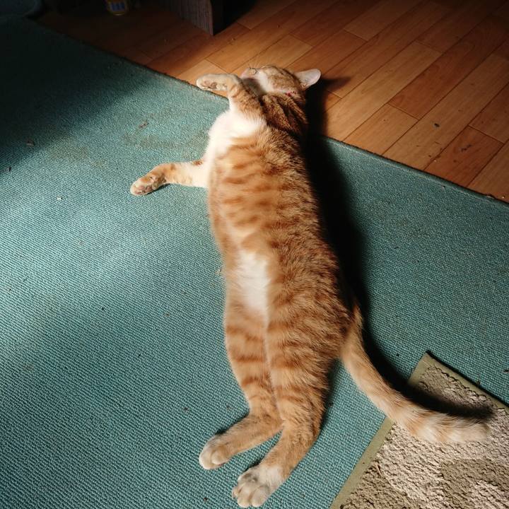 1d912e54 688b 4bc3 9071 8b25120a595c 1572661426393