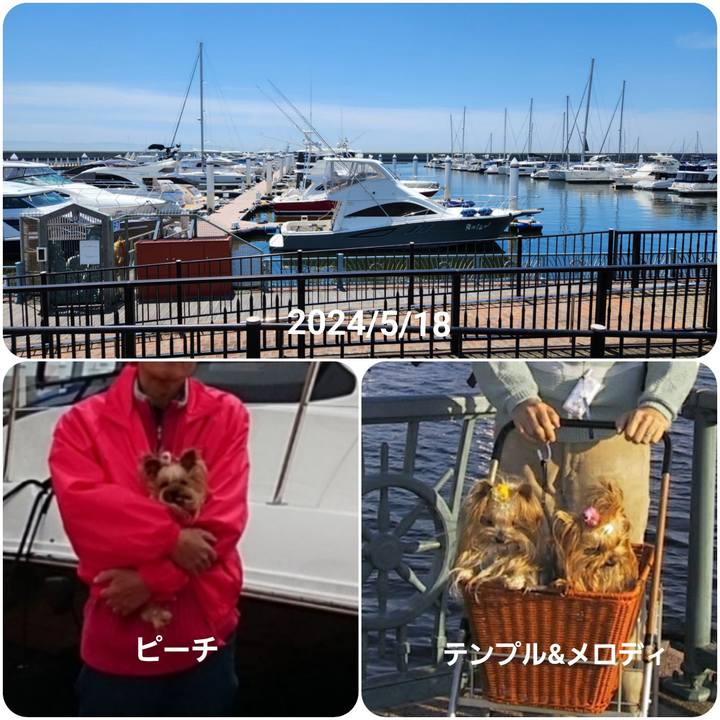 1d912edf 9c35 42e3 92f9 c977945c56a2 1716039156925