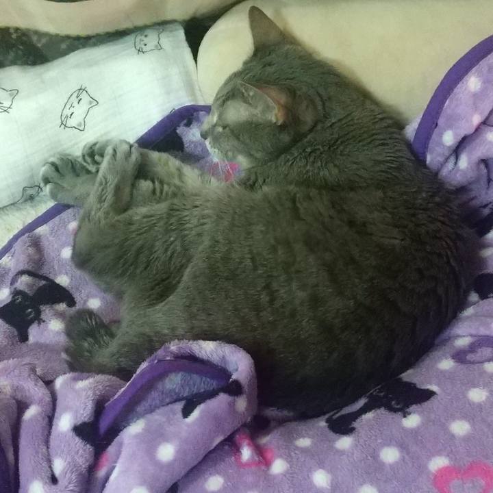 1d9155e8 9a8d 44d0 b826 7fc3c774a2d5 1698708120322