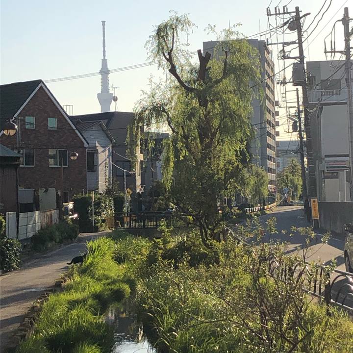 1d9156b9 88e2 4617 a9dc 2879164300d3 1573213212310