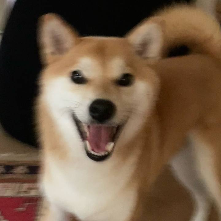 1d916246 e884 43ed a2f3 545936a47ded 1687999883581