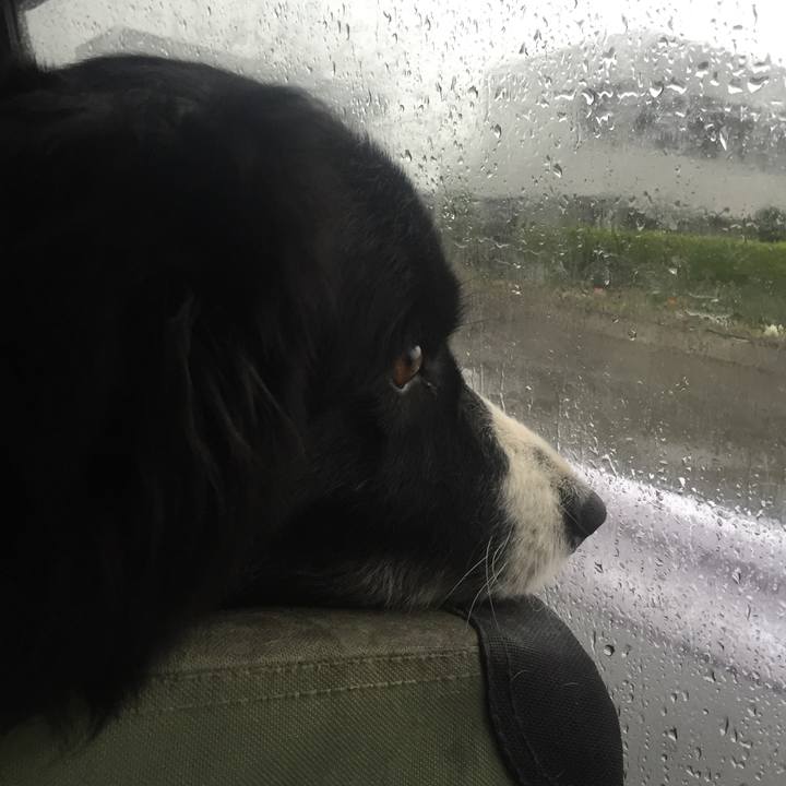 1d917312 e16f 421d 9a46 859466459fb8 1524521158047