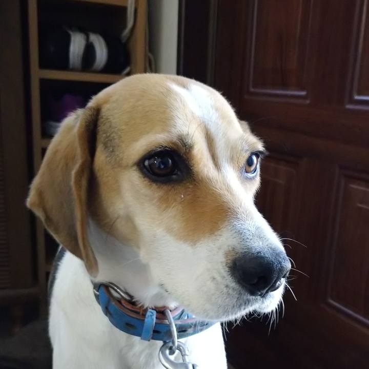 1d91a54f f0fe 4cf0 87b7 f275fcb6c044 1603513702010