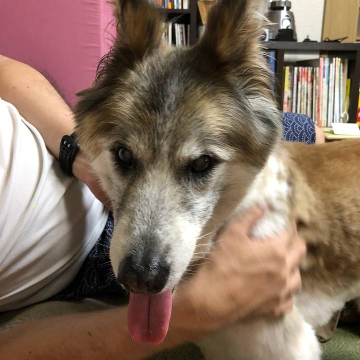 1d91c015 9413 48fd 972c d655375329eb 1533042105097