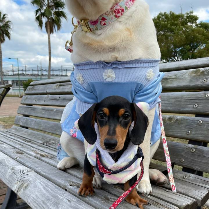 1d91ed74 e2de 4118 8ce7 22ea7578539b 1636876360206