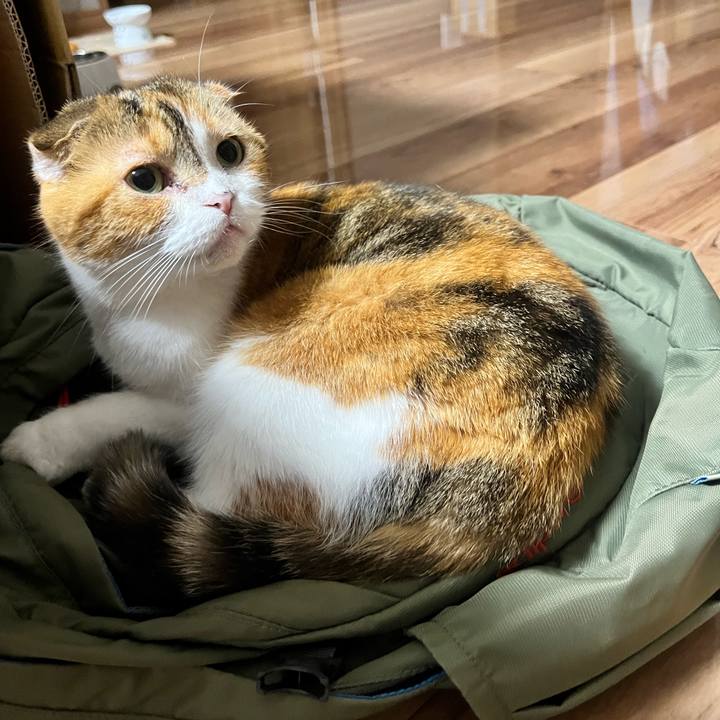 1d921f1c e035 4caa 8745 0aa75771c9b0 1693748271466