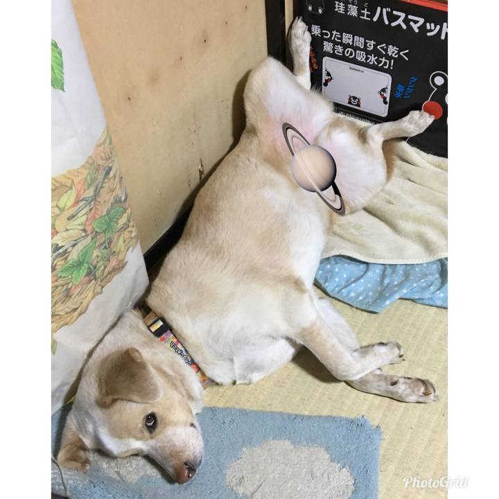 1d925143 bd0c 4213 80de 3bb087756259 1522068288939