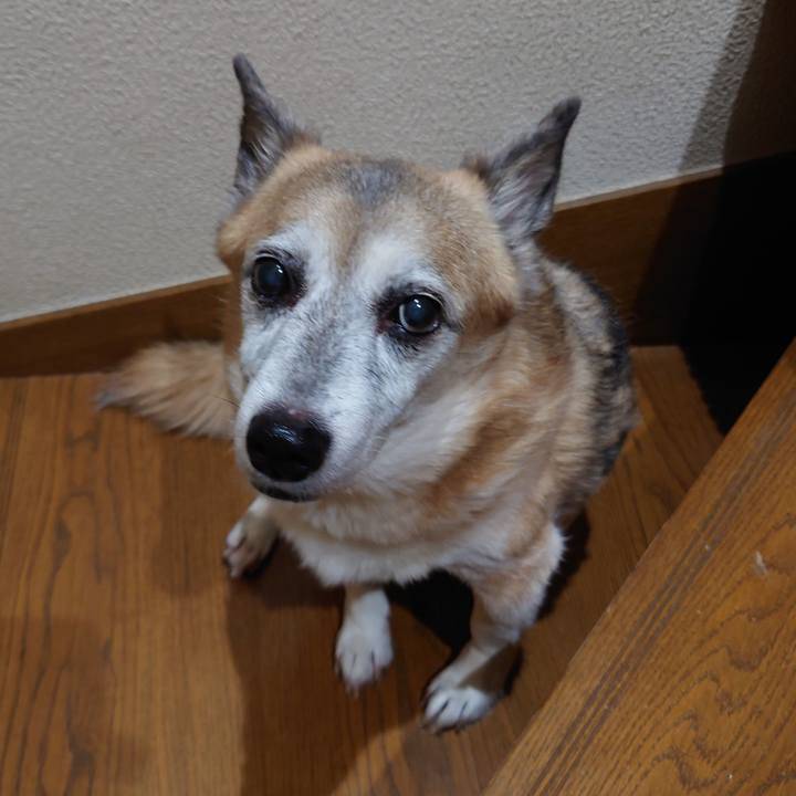 1d9253b7 5780 48e1 ae8f 27ea67cc4503 1660122226022