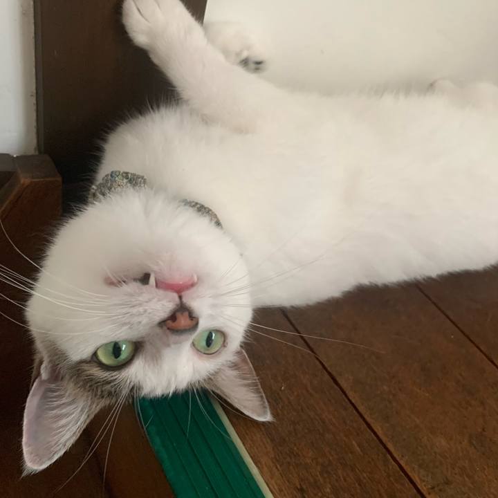 1d92a098 def3 4798 b77a 34eefc991a98 1692628908764