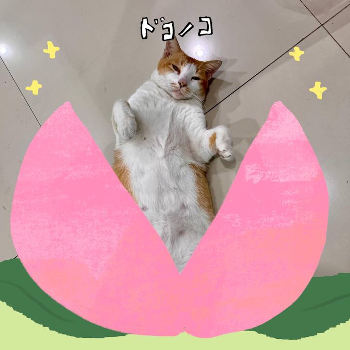 1d92adcd 505b 4bff bab2 4ebf96222aa0 1772447162878