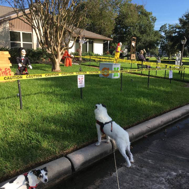 1d92b5a0 cbe8 4ea8 a227 4be88982dcb3 1539260921303