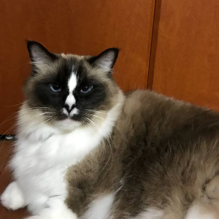 1d92da88 6cf2 4240 921e 7104fdb1186a 1516572341556