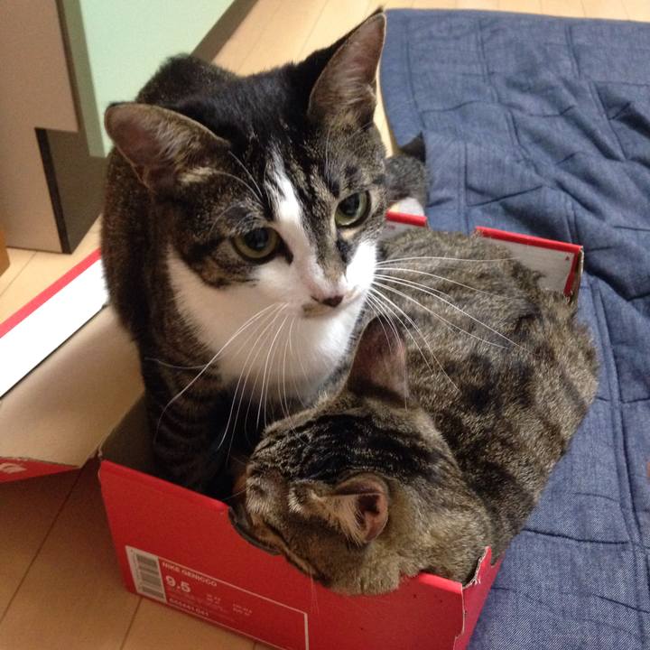 1d931214 68c0 4e9a 8995 62e0036fe75a 1512748821645