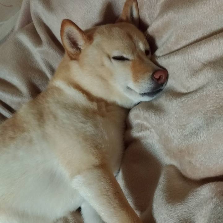 1d931fd0 57ed 4cfd 8249 4d3973b50777 1582462448150