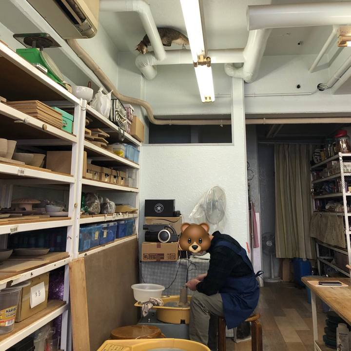 1d932c7e c0fe 4df5 81ef 43937f19d39c 1616903823747