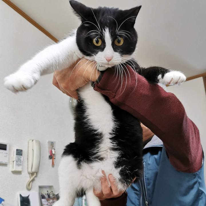 1d932e4a 091c 4dd2 9c9e 8f16b6dd719b 1669005021346