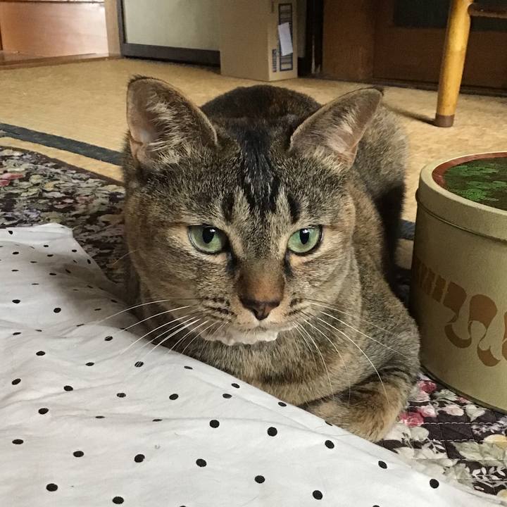 1d9332dc 1cd5 47c9 92fc 91d121a42a41 1655261074140