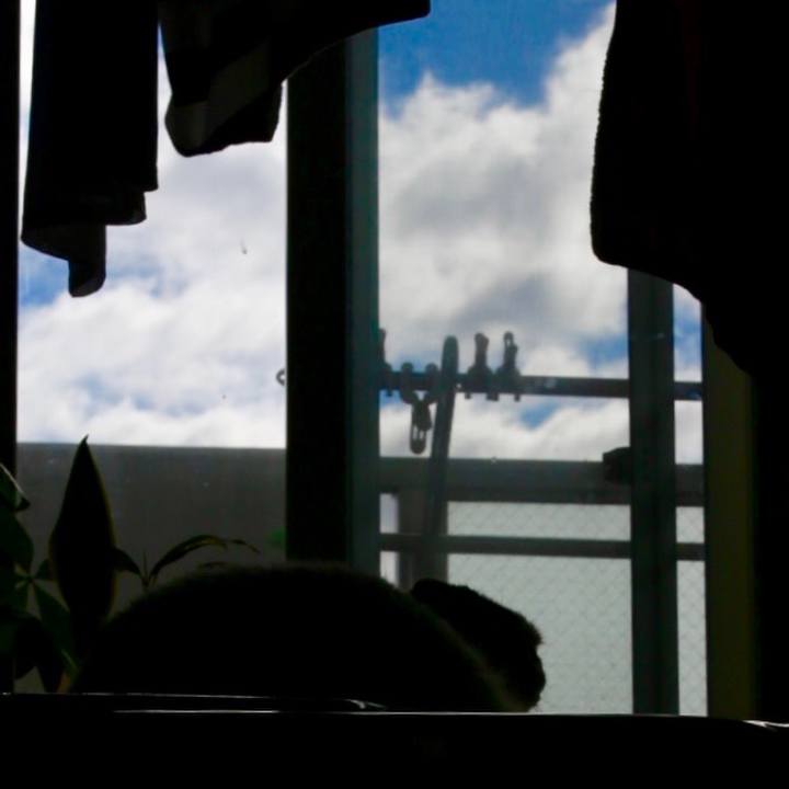 1d9338c8 8244 4355 9474 499c29363e60 1570938228056