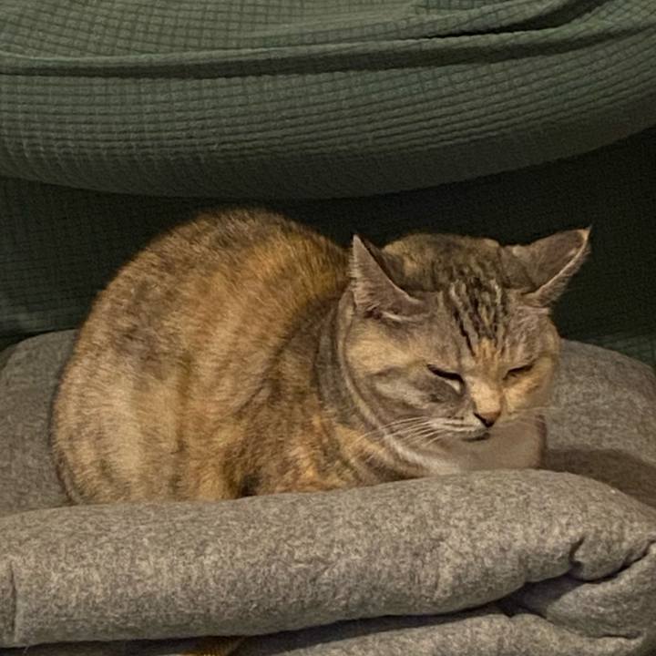 1d934bb5 f9c4 4b8f 96e5 9f0e7a0d38d9 1676320064579