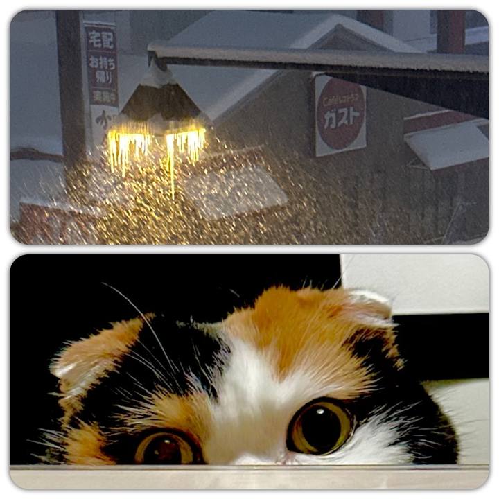 1d9387d0 a8f9 43e8 bb2f 80a85c01fca2 1705412678158